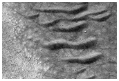 USGS Dune Database Entry Number 1140-654