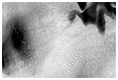 Hellas Planitia