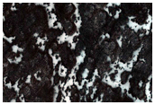 USGS Dune Database Entry Number 3588-769