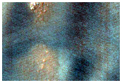 USGS Dune Database Entry Number 2505-558