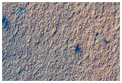 USGS Dune Database Entry Number 1350-788