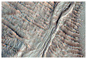Gullies and Viscous Flow Feature in Nereidum Montes
