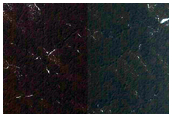 Seasonal Frost Enhancement of Polygon Visibility Near MOC M10-02962