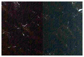 Seasonal Frost Enhancement of Polygon Visibility Near MOC M10-02962