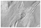 Gullies and Viscous Flow Feature in Nereidum Montes