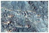 Palikir Crater Wall Gullies and Linear Dune Gullies