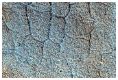 Contact in Utopia Planitia