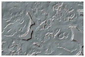Monitoring of South Polar Residual Cap Albedo Features
