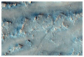Candidate Landing Site for 2020 Mission