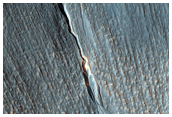 Gully with Possible Bright Deposit