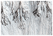 Recurring Slope Lineae in Raga Crater
