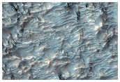 Possible Phyllosilicate in High Albedo Feature Northwest of Hellas Planitia