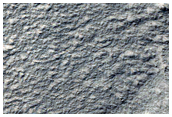 Spider-Rich Layers on Rim of Reynolds Crater