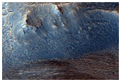 Phyllosilicate Detection in Terrace Block of Bamberg Crater