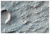Branching Radial Ridges within Shallow-Floored Crater