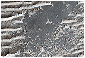 Bizarre TARs