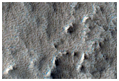 Possible Fractures on Arsia Mons