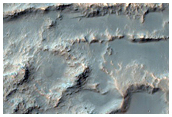 Branched and Curved Ridges in Crater in CTX Image