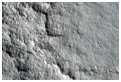 Arcadia Region Sample