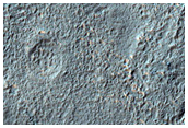 Branched Valleys  on North Slope of Vogel Crater