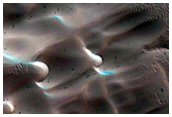 Dunes Dubbed Buzzel