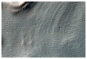 Possible Ice-Related Features in Argyre Region Crater