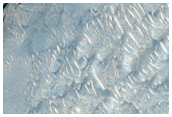 Polygonal Veins in Robert Sharp Crater