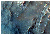 Possible Olivine and Carbonates in Syrtis Major Planum