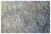 Northern Plains Terrain