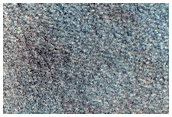 Northern Plains Terrain