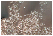 Tyrrhena Terra Dune Monitoring