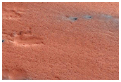 Track Dune Changes in Chasma Boreale