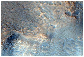 Gullies in Northern Hemisphere on Hill