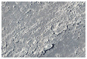 Athabasca Valles Distributary