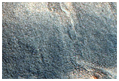 Gully Monitoring