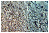 Fan in Lyot Crater