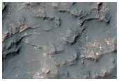 Candidate Landing Site for 2020 Mission