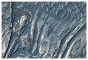Convoluted Folds in Light-Toned Sulfates along Ius Chasma Floor