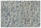 Platy-Ridged Surfaces in Zephyria Region