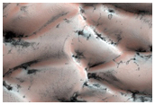 North Polar Dunes