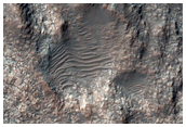 Well-Exposed Layered Bedrock