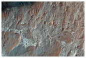 Lobe Partly Covered by Darker Material