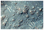 Phyllosilicates Exposed by Impact in Tyrrhena Terra