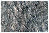 Monitoring New Impact Site