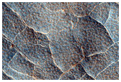 Large Polygons