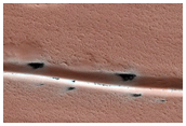 Track Dune Changes in Chasma Boreale