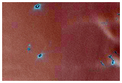 Teardrop Defrosting Features on Dunes