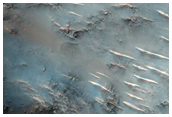 Small Craters North of Hellas Planitia with Phyllosilicates in the Rim