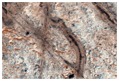 Mawrth Vallis Region