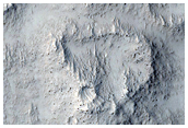 Ring-Shaped Landforms between Arcadia Planitia and Amazonis Planitia